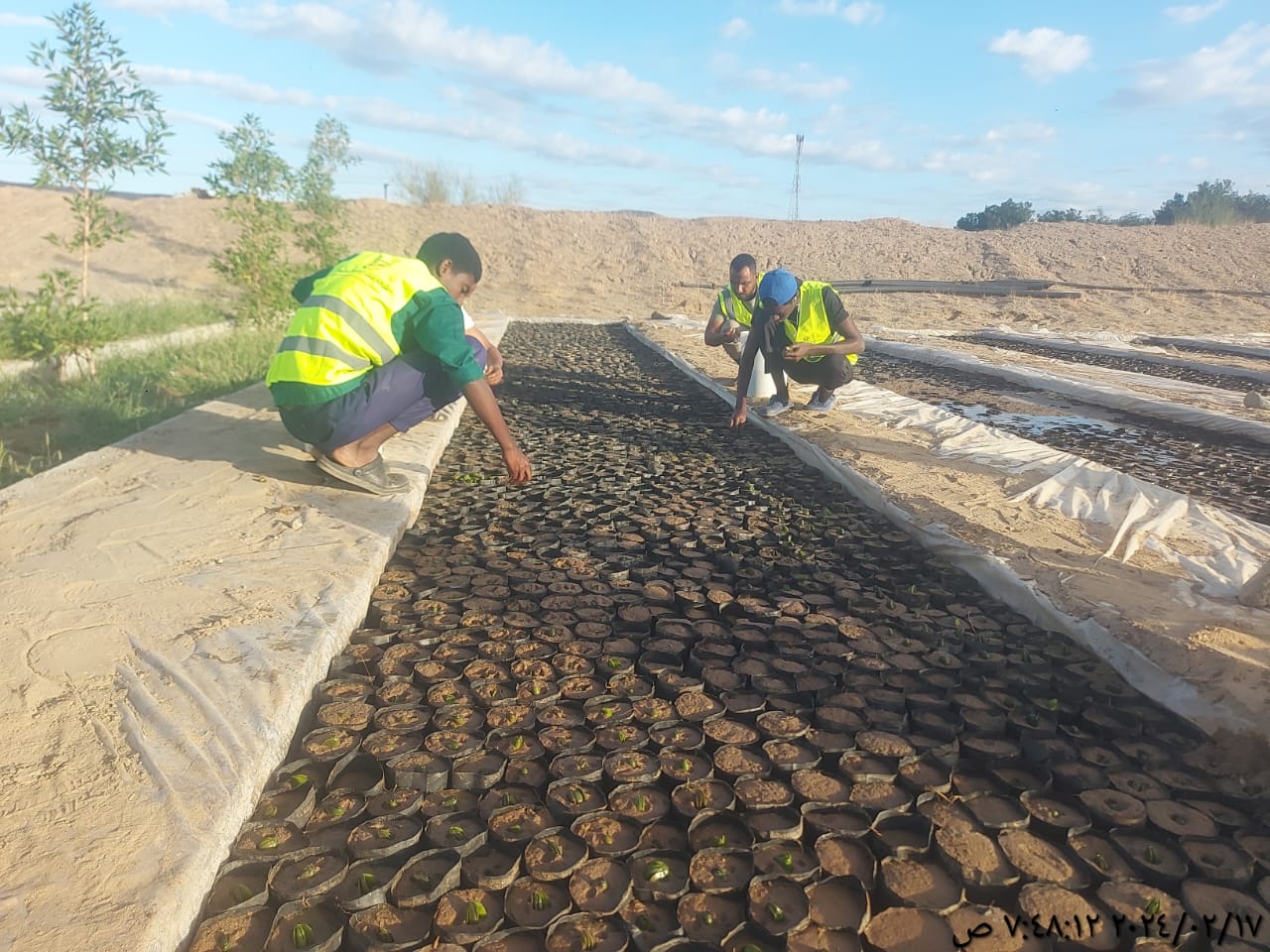شركة قلف الرائدة المحدودة شخص واحد