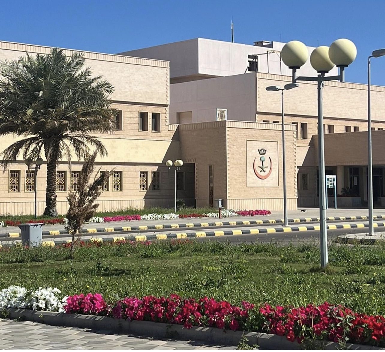 مؤسسة البساط المخضر الزراعية