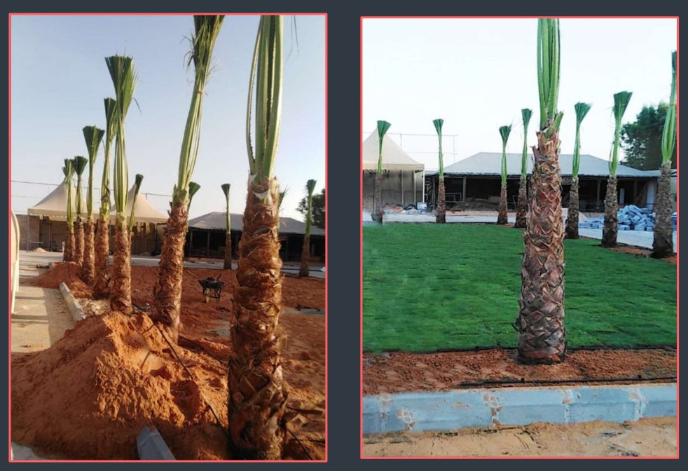 شركة اسس العمران للهندسة المدنية شركة شخص واحد