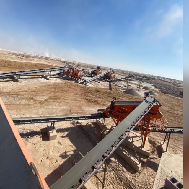 شركة الدعم الألي المحدودة