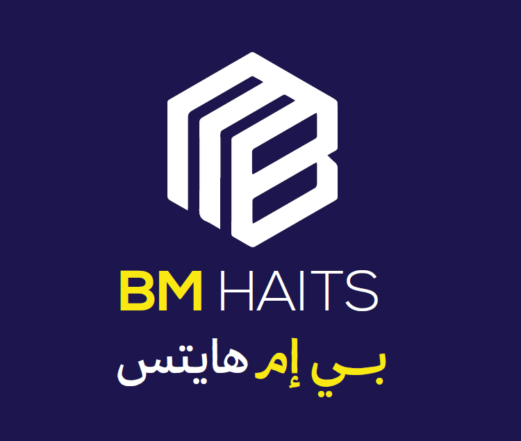 شركة بي إم هايتس