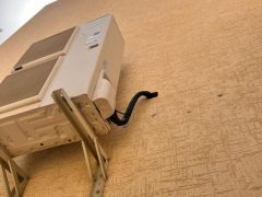 PHOTO-2022-07-03-09-55-26